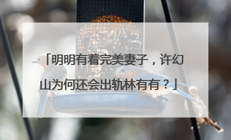 明明有着完美妻子,许幻山为何还会出轨林有有?