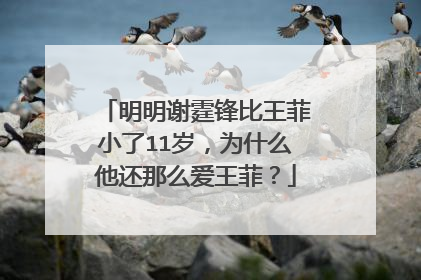 明明谢霆锋比王菲小了11岁，为什么他还那么爱王菲？