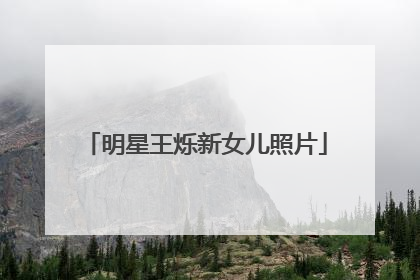 明星王烁新女儿照片