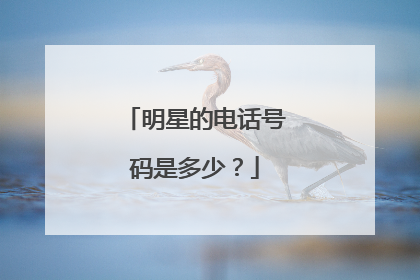 明星的电话号码是多少?