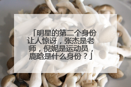 明星的第二个身份让人惊讶,张杰是老师,倪妮是运动员,鹿晗是什么身份?