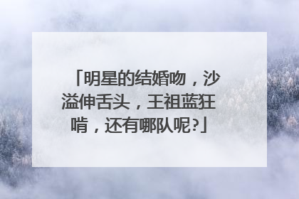 明星的结婚吻，沙溢伸舌头，王祖蓝狂啃，还有哪队呢?