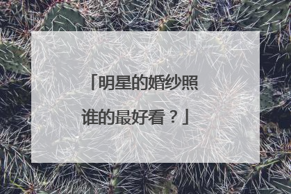 明星的婚纱照谁的最好看?