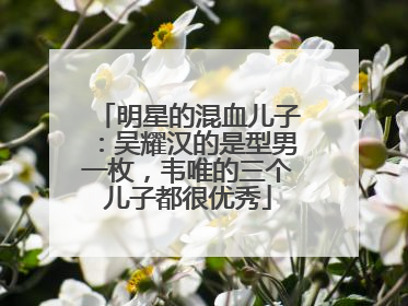 明星的混血儿子：吴耀汉的是型男一枚，韦唯的三个儿子都很优秀