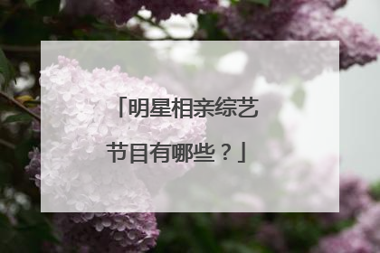 明星相亲综艺节目有哪些？