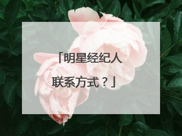 明星经纪人联系方式？