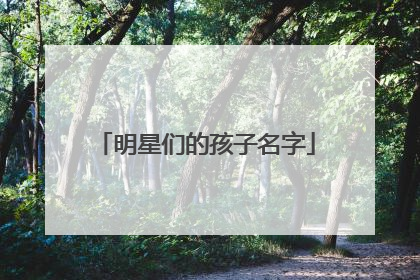 明星们的孩子名字