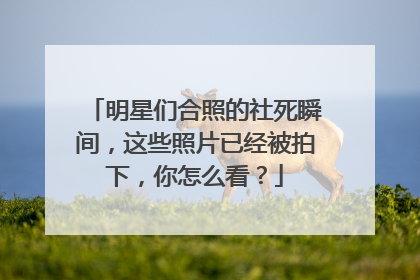 明星们合照的社死瞬间,这些照片已经被拍下,你怎么看?