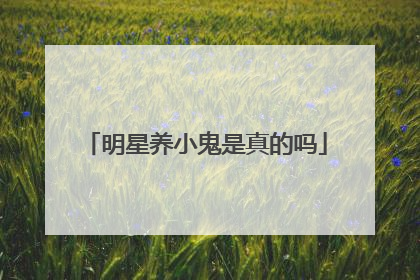 明星养小鬼是真的吗
