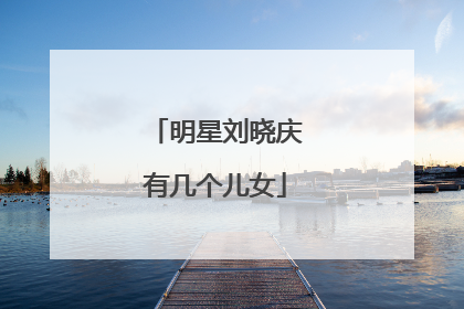 明星刘晓庆有几个儿女