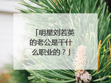 明星刘若英的老公是干什么职业的?