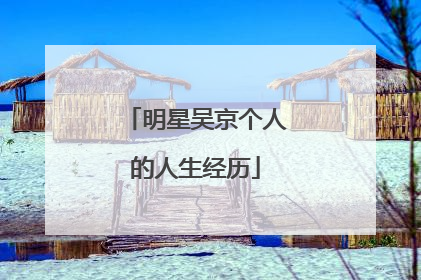 明星吴京个人的人生经历