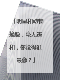 明星和动物撞脸，毫无违和，你觉得谁最像？
