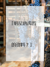 明星唐禹哲的资料？