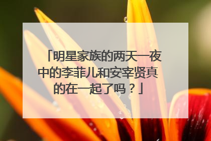明星家族的两天一夜中的李菲儿和安宰贤真的在一起了吗?