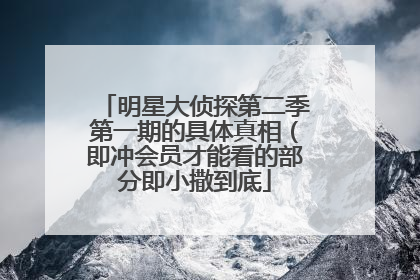 明星大侦探第二季第一期的具体真相(即冲会员才能看的部分即小撒到底