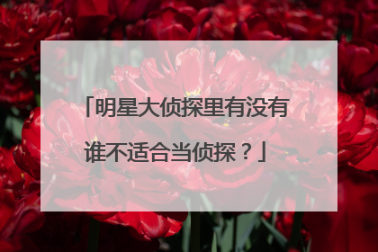 明星大侦探里有没有谁不适合当侦探?