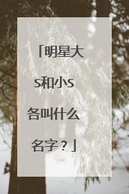 明星大S和小S各叫什么名字?