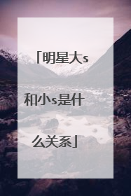 明星大s和小s是什么关系