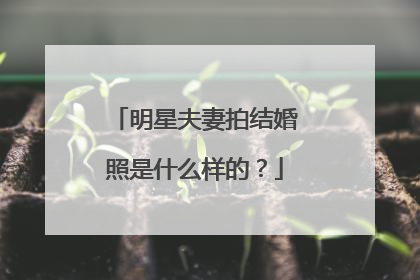 明星夫妻拍结婚照是什么样的?