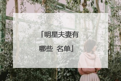 明星夫妻有哪些 名单