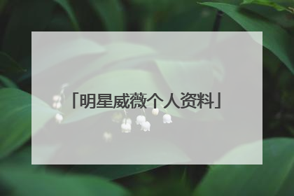 明星威薇个人资料