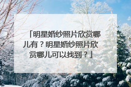 明星婚纱照片欣赏哪儿有?明星婚纱照片欣赏哪儿可以找到?