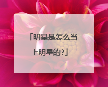 明星是怎么当上明星的?