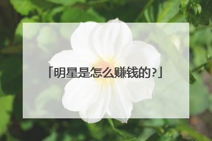明星是怎么赚钱的?