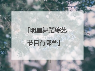 明星舞蹈综艺节目有哪些
