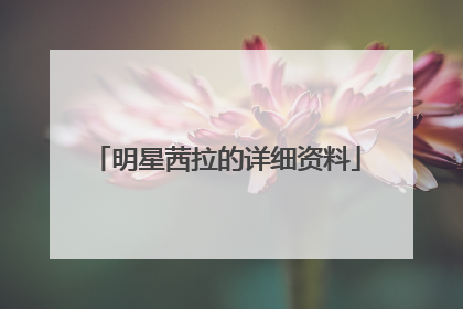 明星茜拉的详细资料