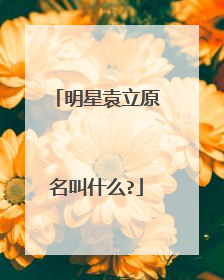 明星袁立原名叫什么?
