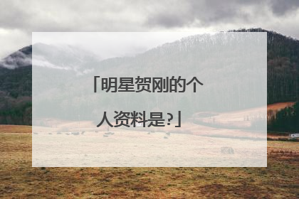 明星贺刚的个人资料是?