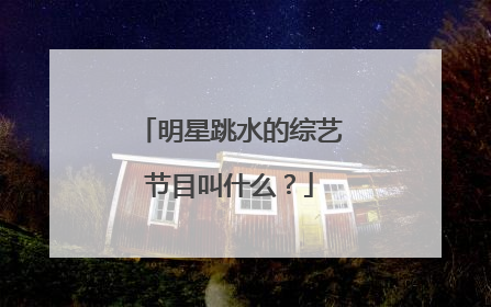 明星跳水的综艺节目叫什么?