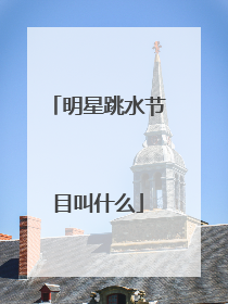 明星跳水节目叫什么