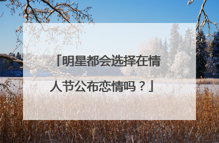 明星都会选择在情人节公布恋情吗?