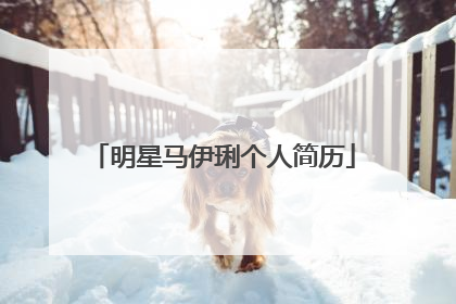 明星马伊琍个人简历