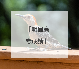 明星高考成绩