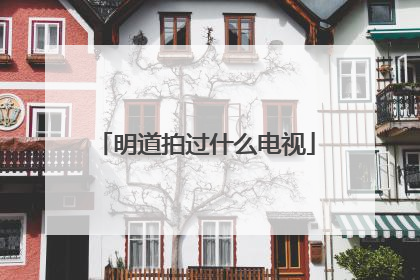 明道拍过什么电视