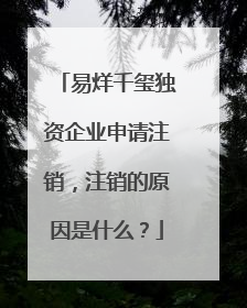 易烊千玺独资企业申请注销，注销的原因是什么？