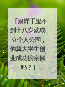 易烊千玺不到十八岁就成立个人公司,他算大学生创业成功的案例吗?