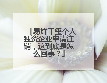 易烊千玺个人独资企业申请注销，这到底是怎么回事？