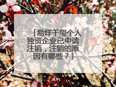 易烊千玺个人独资企业已申请注销，注销的原因有哪些？