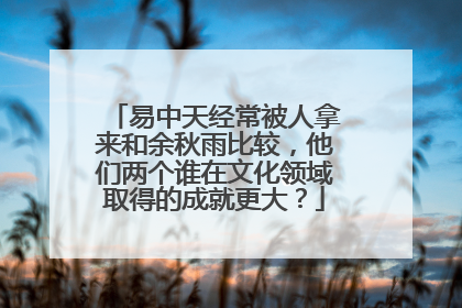 易中天经常被人拿来和余秋雨比较,他们两个谁在文化领域取得的成就更大?