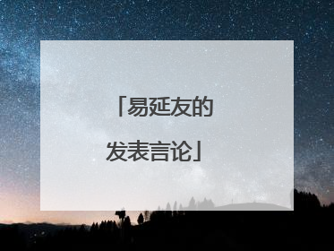 易延友的发表言论