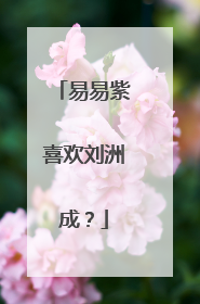 易易紫喜欢刘洲成?