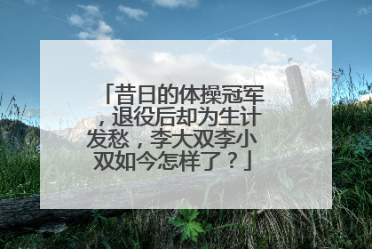 昔日的体操冠军,退役后却为生计发愁,李大双李小双如今怎样了?