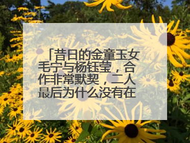 昔日的金童玉女毛宁与杨钰莹,合作非常默契,二人最后为什么没有在一起?