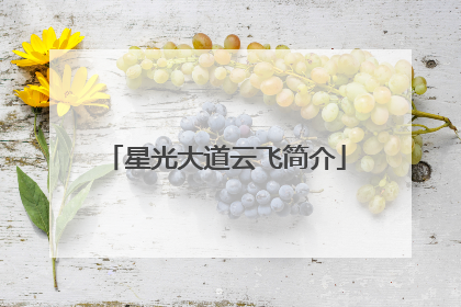 星光大道云飞简介