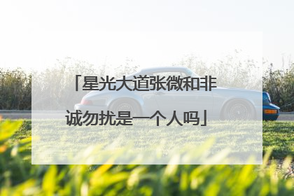 星光大道张微和非诚勿扰是一个人吗